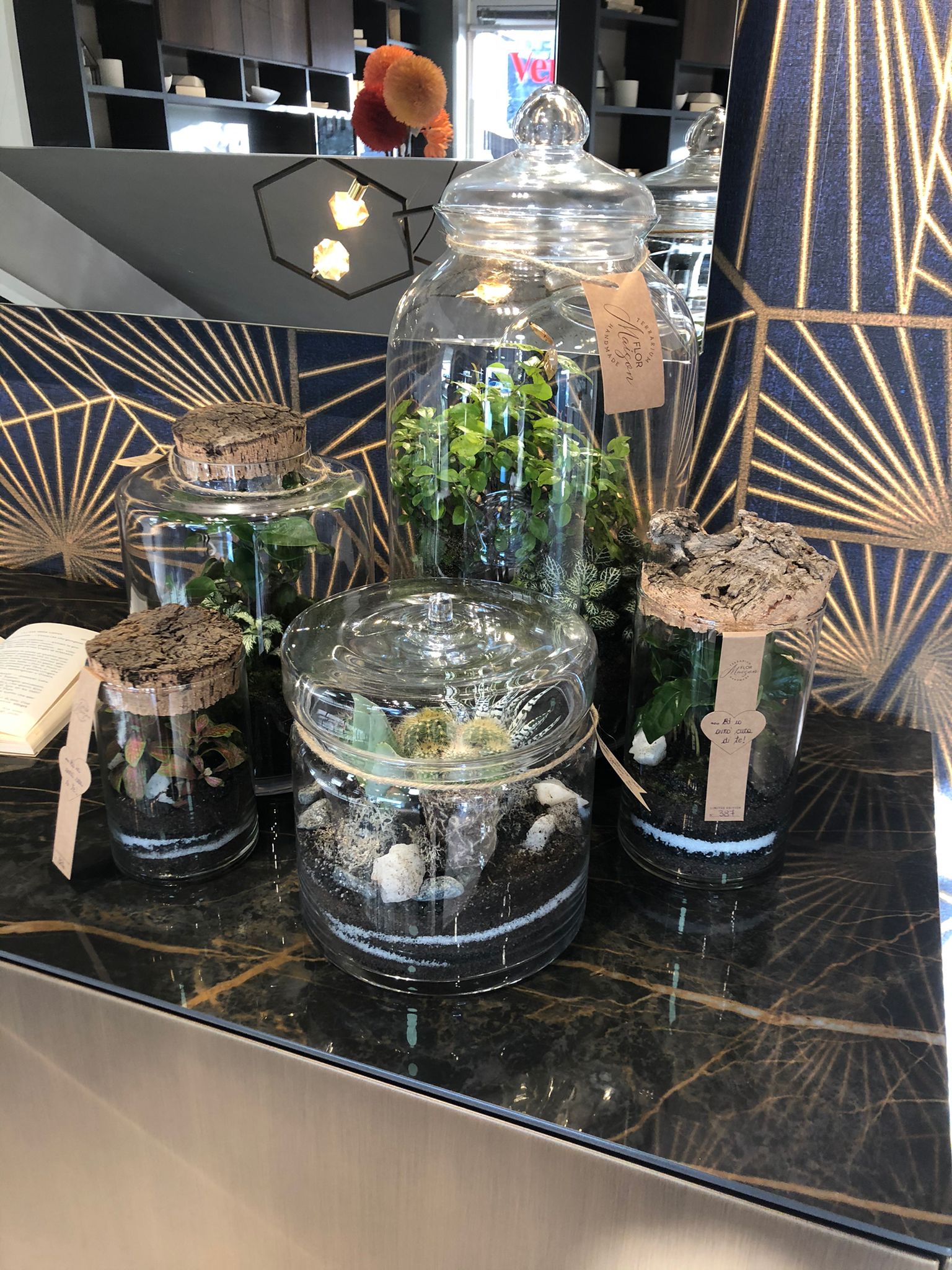 Terrarium - Flor Maison - Ginocchi Arredamenti Roma