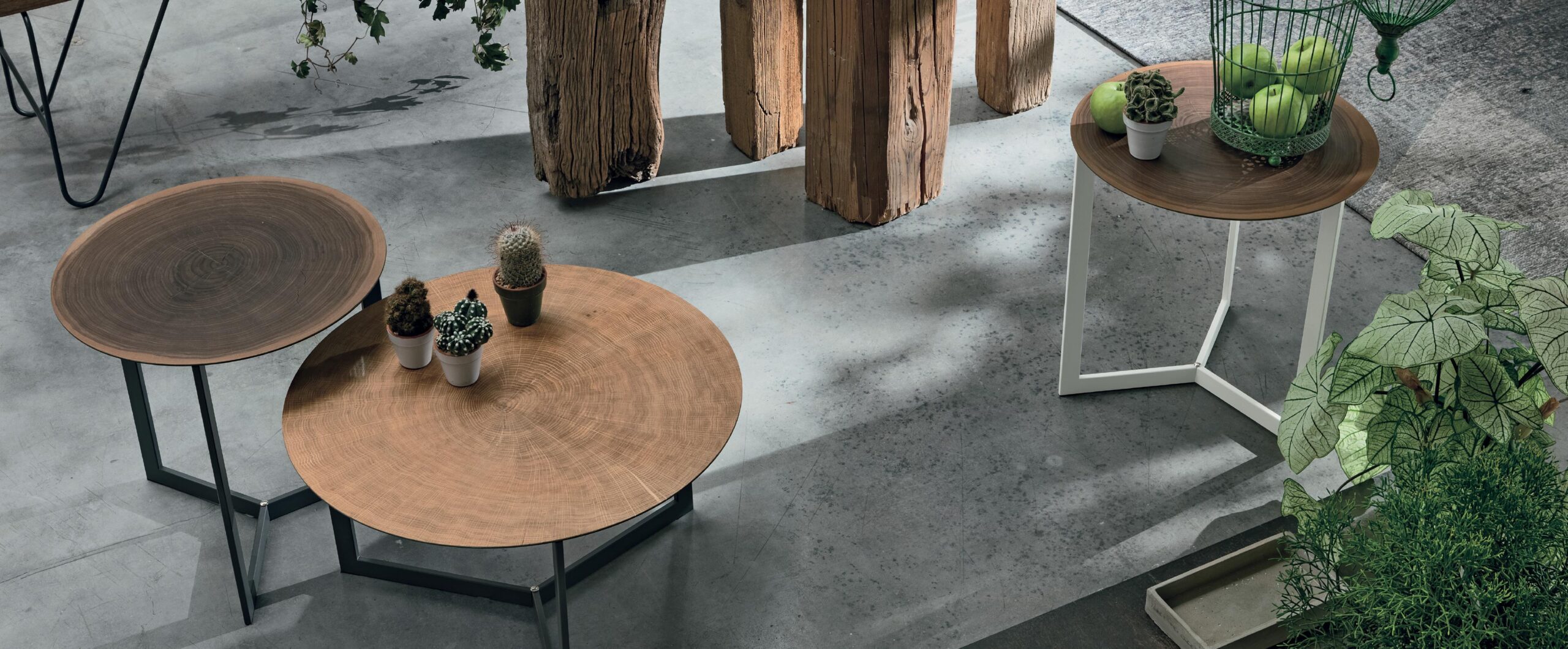 Joy Wood - Tavolini Tomasella - Ginocchi Arredamenti Roma