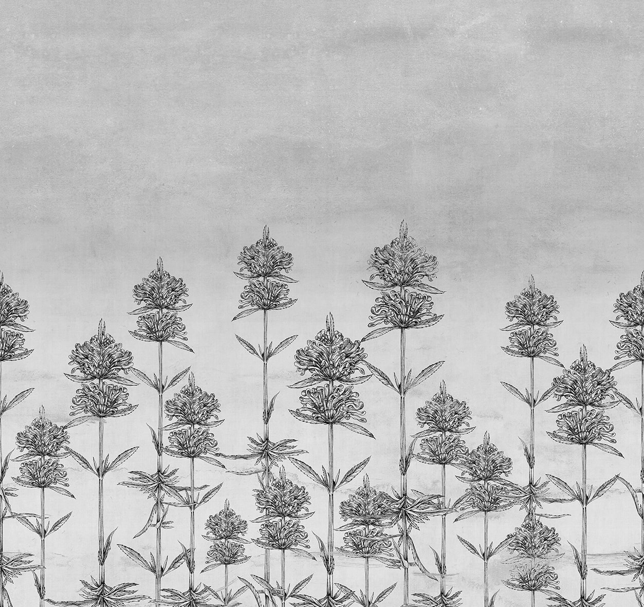 Carta da Parati Natural Euphoria - LondonArt - Ginocchi Arredamenti Roma